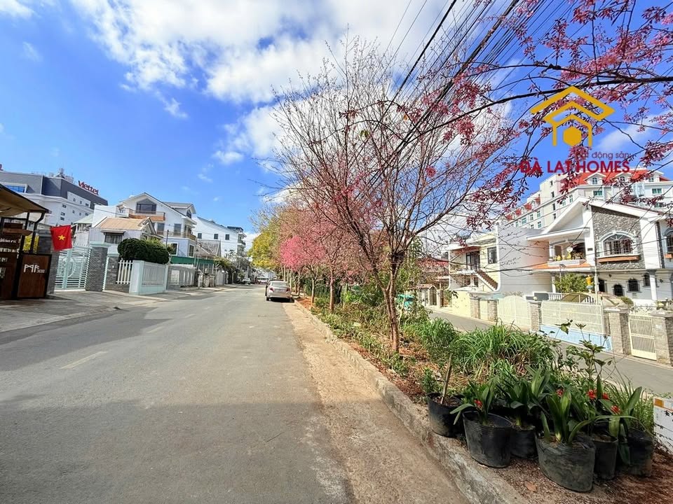 Bán Nền Biệt Thự Đà Lạt 376.8m² Đường Trần Quý Cáp - Thơ Mộng, Đáng Sống