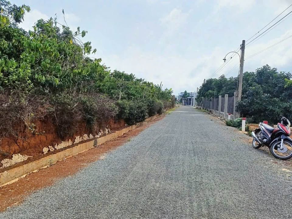 Đất Vườn Lộc An, Bảo Lâm 1317m² - View Đẹp, Sổ Đỏ Chính Chủ, Giá 2 Tỷ