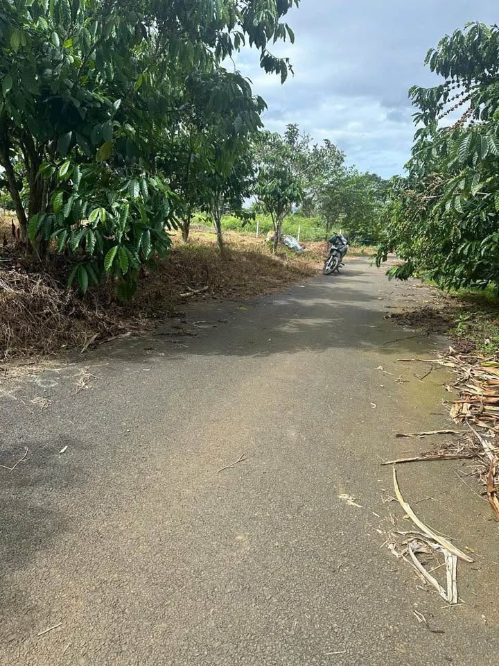 Đất Vườn 2887m² Sổ Đỏ, Sẵn 100m² Thổ Cư - Giá 2.15 Tỷ Tại Bảo Lâm