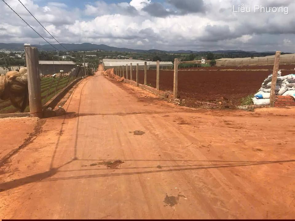 Đất Farm Đơn Dương 150.000m² - 9 Tỷ, Mặt Tiền Rộng, Pháp Lý Sổ Hồng