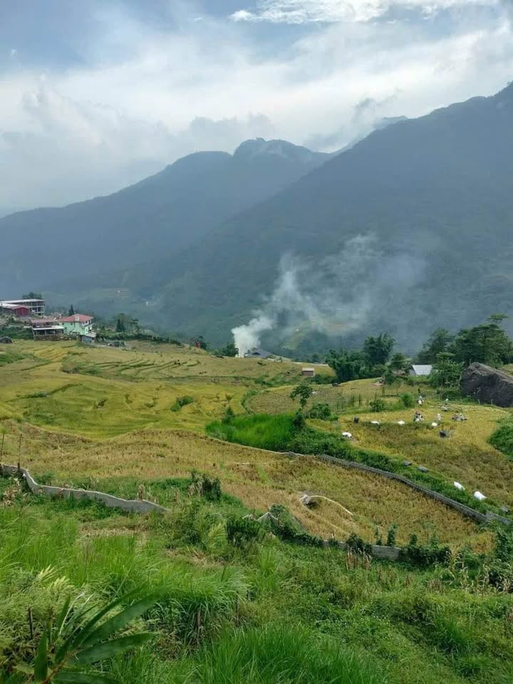 Homestay Nhà Sàn 2 Tầng View Mường Hoa, Sa Pa - 1000m² Sổ Đỏ, 4.95 Tỷ