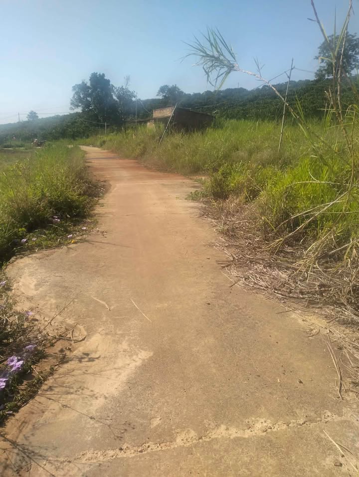 Bán Đất Nền Lâm Hà 7200m² Mặt Đường Bê Tông - Giá 1.5 Tỷ