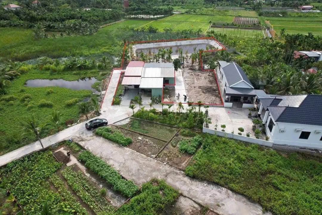 Nhà Vườn Xanh Mát 1731m² Tại Tân Phong, Bến Tre - Giá 2 Tỷ