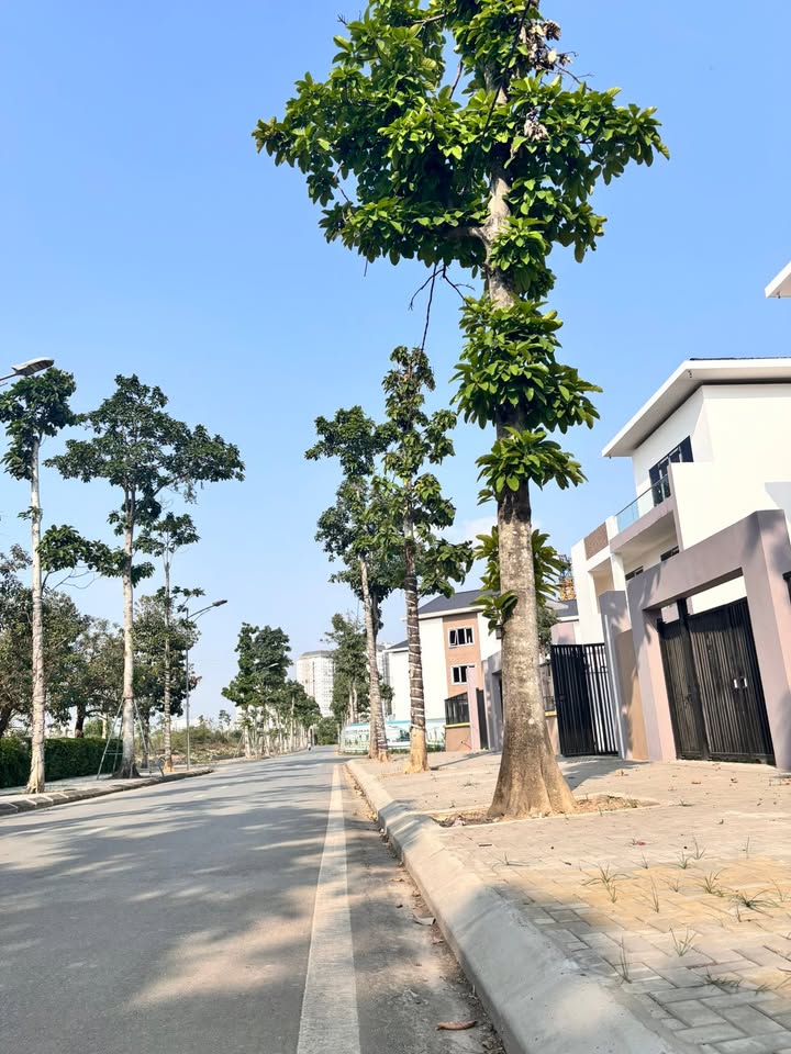 Cho thuê biệt thự Thanh Hà 300m² - Kinh doanh văn phòng lý tưởng