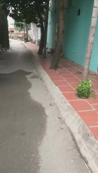 Cho thuê nhà nguyên căn 37m² tại Phương Canh, Nam Từ Liêm - Ô tô đỗ cửa, giá tốt