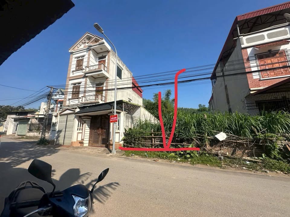 Đất thổ cư 70m² mặt tiền 5m đường Tôn Đức Thắng, TX Phú Thọ - Giá F0 1.9 tỷ