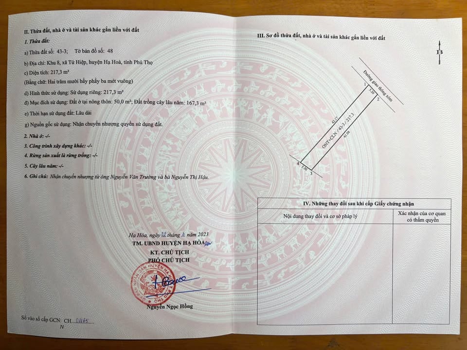 Đất nền Hạ Hòa, Phú Thọ 217m² - Giá tốt chỉ hơn 300 triệu