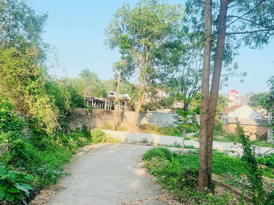 Đất thổ cư 142m² Lạng Giang - Sổ đỏ chính chủ, giá 1 tỷ