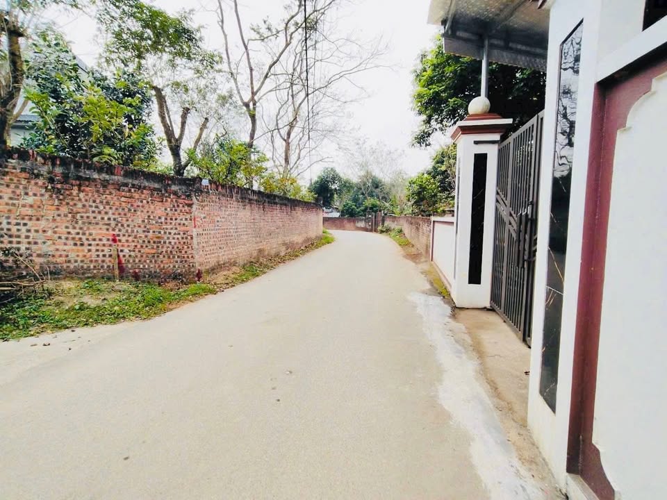 Đất Nền Tam Đảo 103m² - Gần TL309, Giá Tốt Chỉ 8xx Tỷ