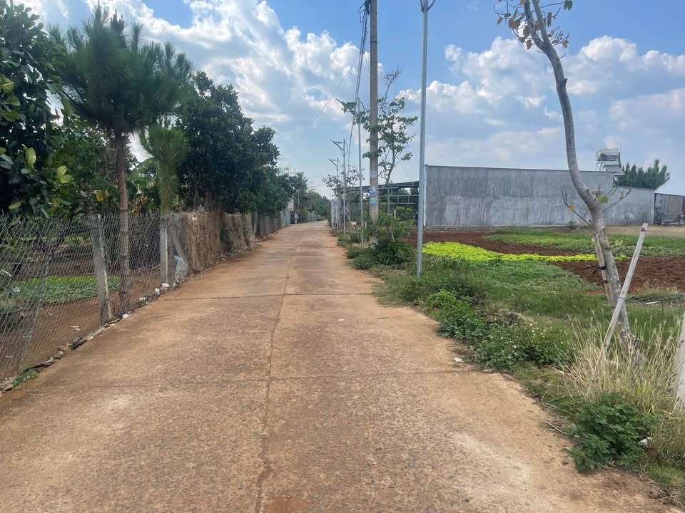 Đất nền Đức Trọng 153m² Sổ hồng riêng - Giá chỉ 799 triệu