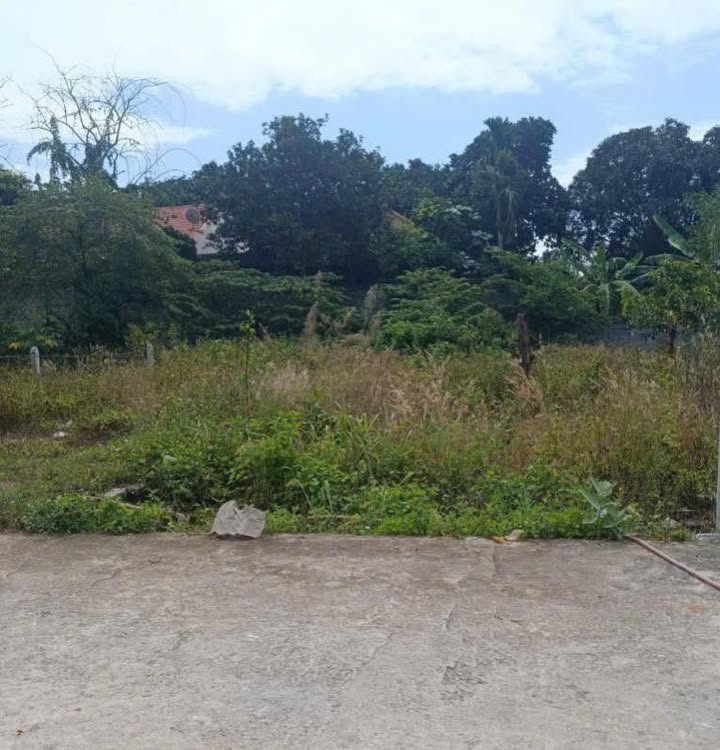 Đất Vĩnh Ngọc Nha Trang 100m² - Sổ Chung, Giá Tốt 530 Triệu