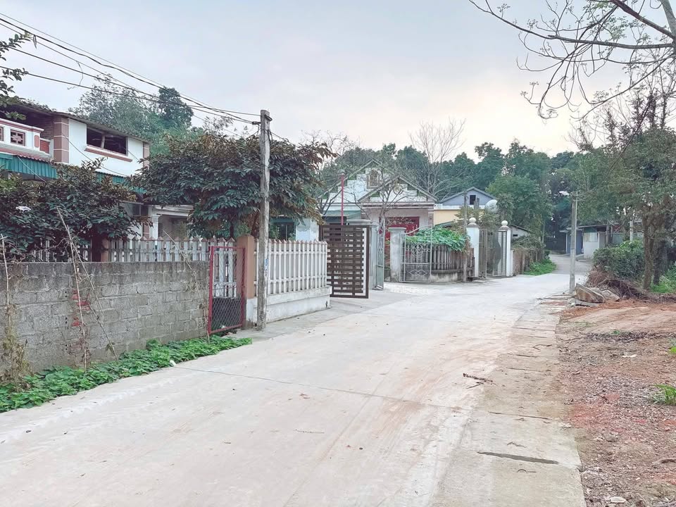 Đất Nền Phú Thọ - 8xx Triệu, 87.7m², Full Thổ Cư, Gần Đền Hùng