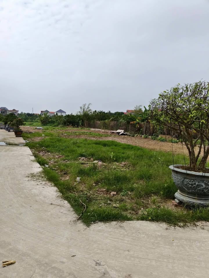 Bán Đất Vàng Yên Khánh 850m² Sổ Hồng Riêng - Kinh Doanh/Nhà Vườn Đa Dụng