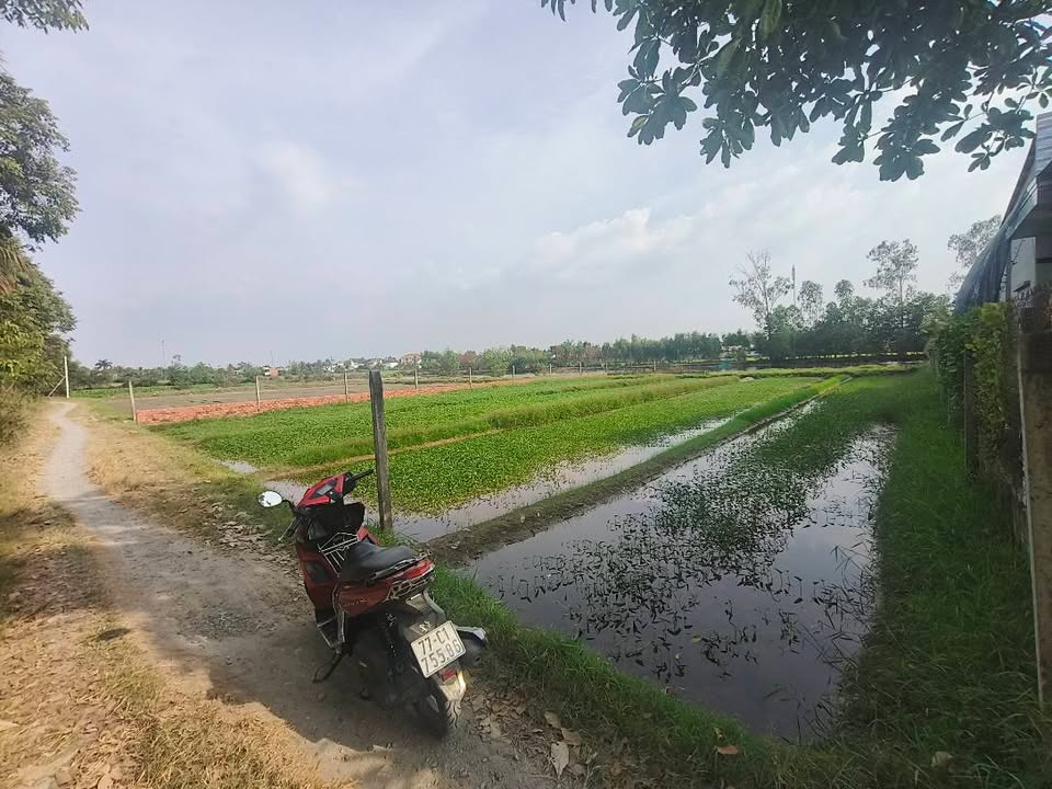 Đất Vườn Long An 1000m² Sổ Hồng Riêng - Giá Đầu Tư 1.89 Tỷ