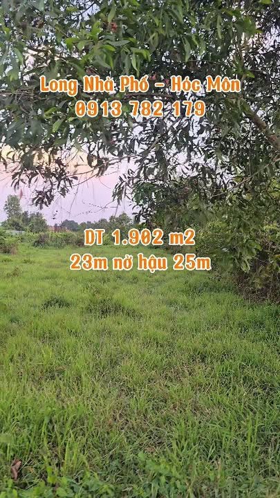 Đất Vườn 1902m² Bình Mỹ, Củ Chi - Lý Tưởng Làm Farm/Nghỉ Dưỡng