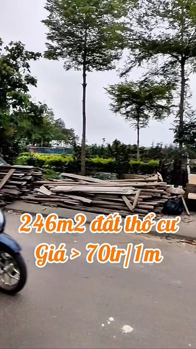 Bán Đất Tặng Nhà 3 Tầng Lại Yên, Hoài Đức - 200m² - 14 Tỷ