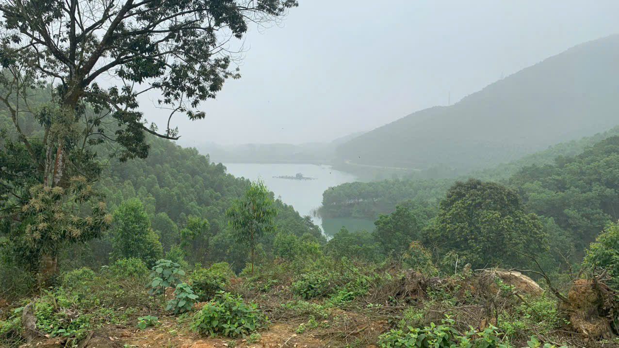 Đất Vườn Nghỉ Dưỡng Phú Thọ 8ha - View Hồ Cực Đẹp, Giá 4 Tỷ