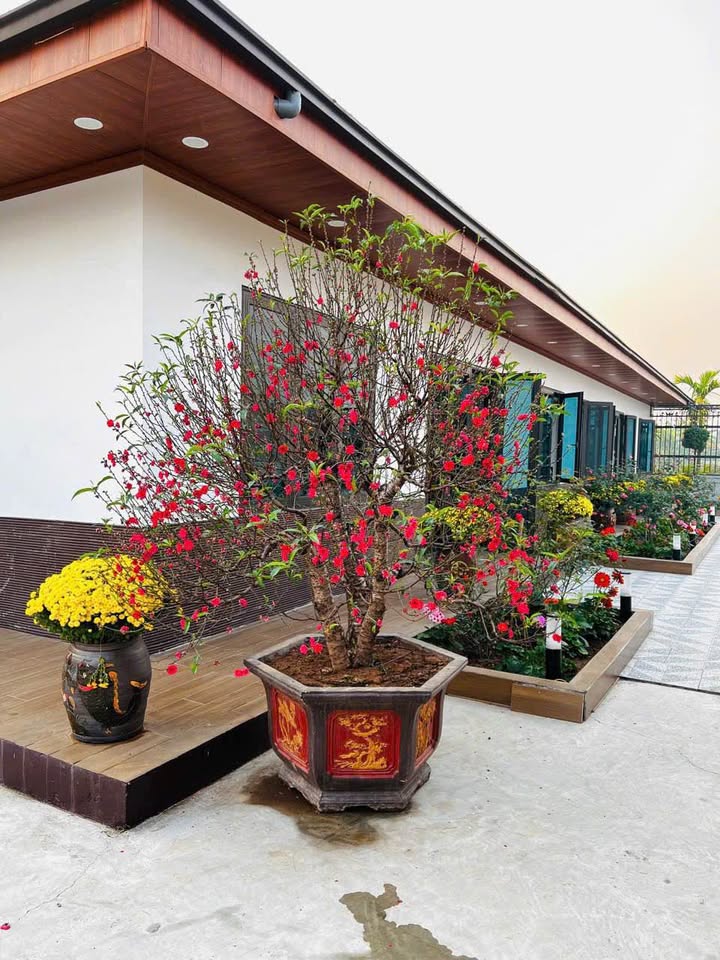 Bán Gấp Nhà Vườn 1400m² Sài Sơn - 2 Mặt Tiền, Ô Tô Tới Nhà