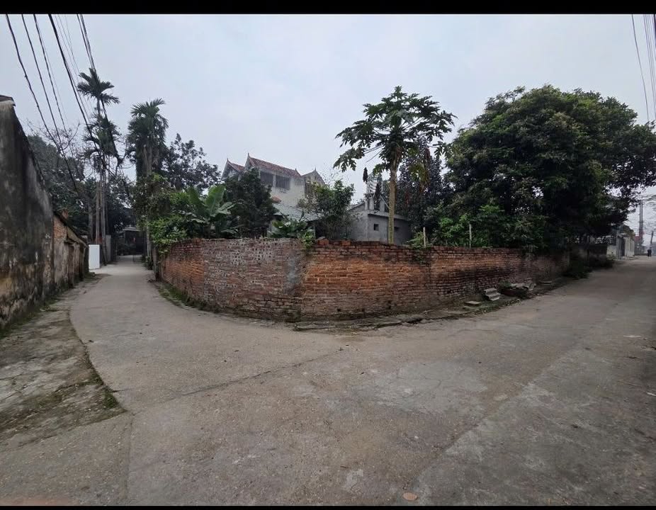 Bán Đất 90m² 2 Mặt Tiền Đường Phú Liêm, Việt Trì - Sẵn Sàng Xây Dựng