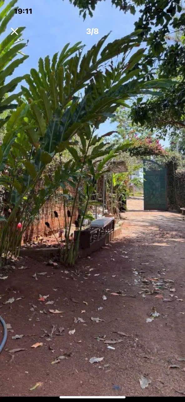 Đất Vườn Lâm Đồng 17360m² Sổ Đỏ - Tiềm Năng Nghỉ Dưỡng, Kinh Doanh