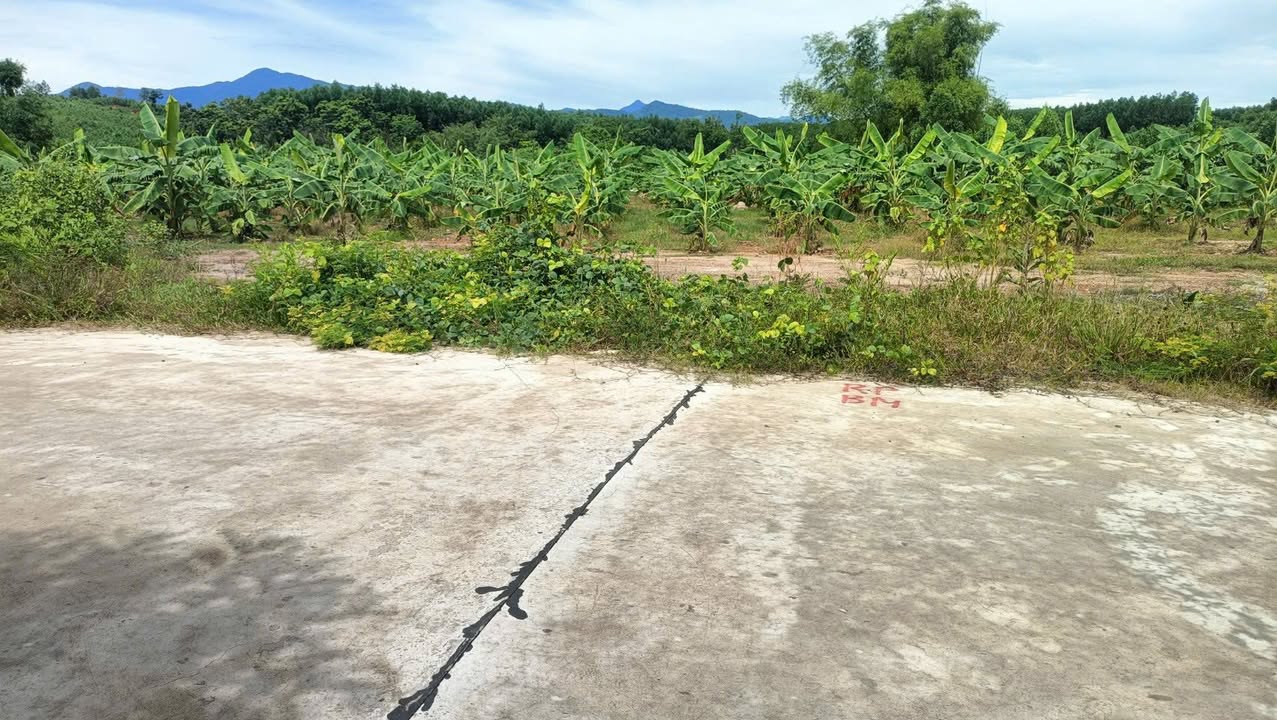 Đất Vườn Khánh Đông 222m² Full Thổ Cư - Giá Chỉ 380 Triệu