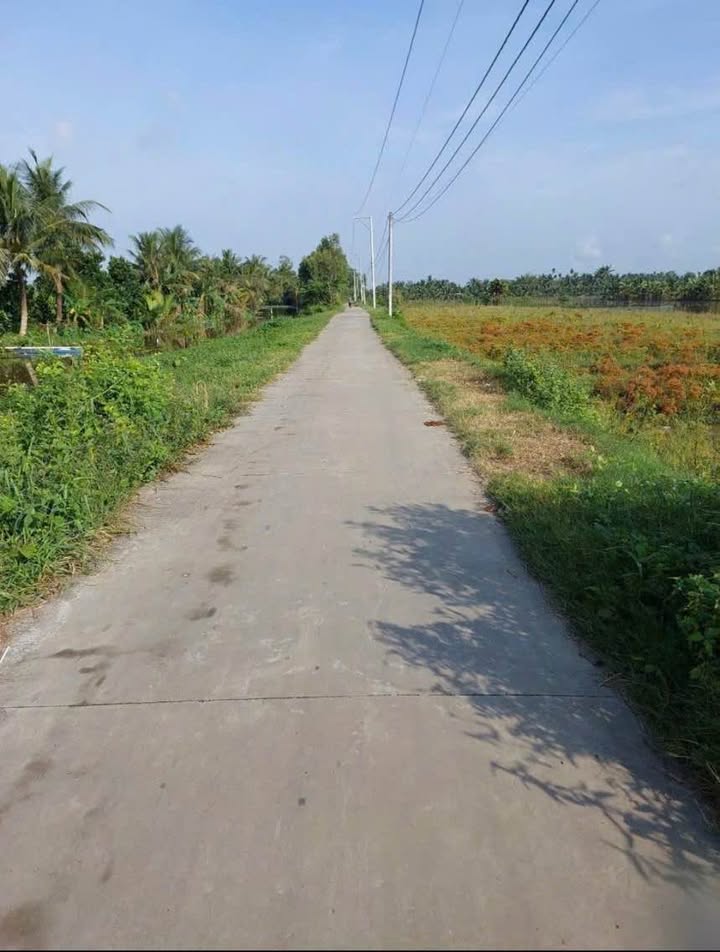 Bán Đất Vườn Tiền Giang 3595m² - Sổ Hồng Sẵn, Giá Tốt Đầu Tư