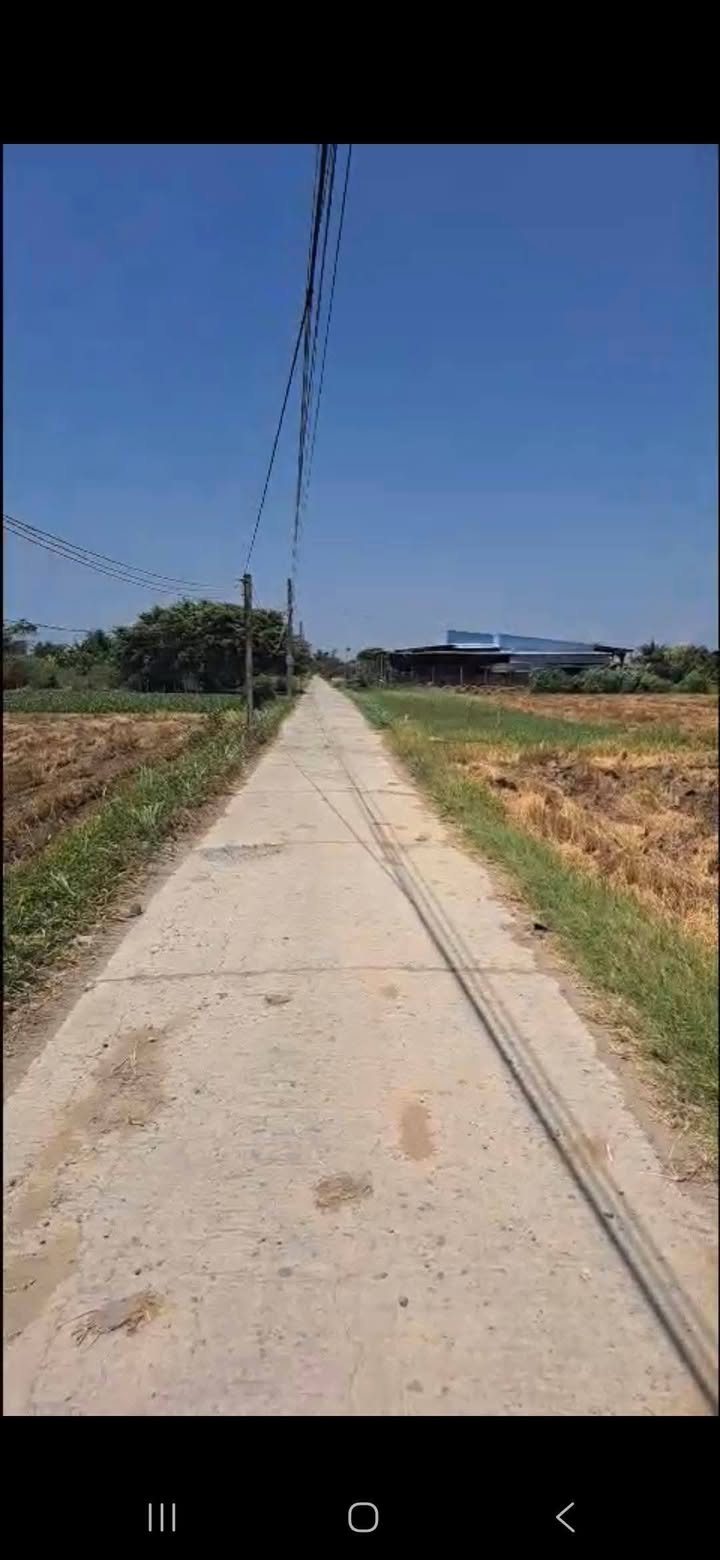 Bán Gấp Đất Vườn 4423m² Mặt Tiền Kênh Tân Thành, Tiền Giang