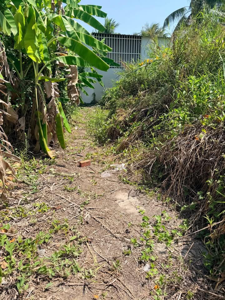 Đất Nền Hẻm Ô Tô Phường 6, Mỹ Tho - 72m² Hướng Đông - 1.39 Tỷ