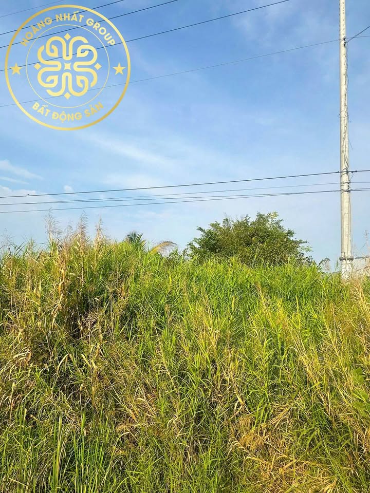 Bán Đất Mặt Tiền Xuyên Á - Thới Bình 1020m² Giá Tốt