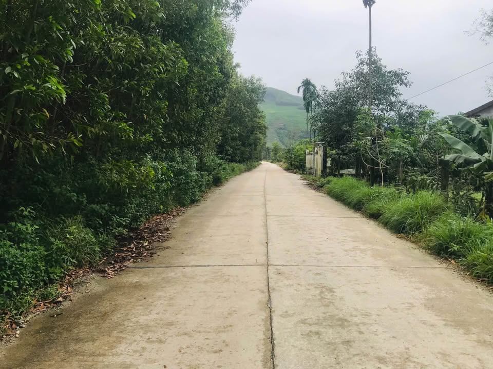 Đất Vườn Nghĩa Thắng 5000m² - Giá Đầu Tư 2 Tỷ, Xe Container Vào Tận Nơi