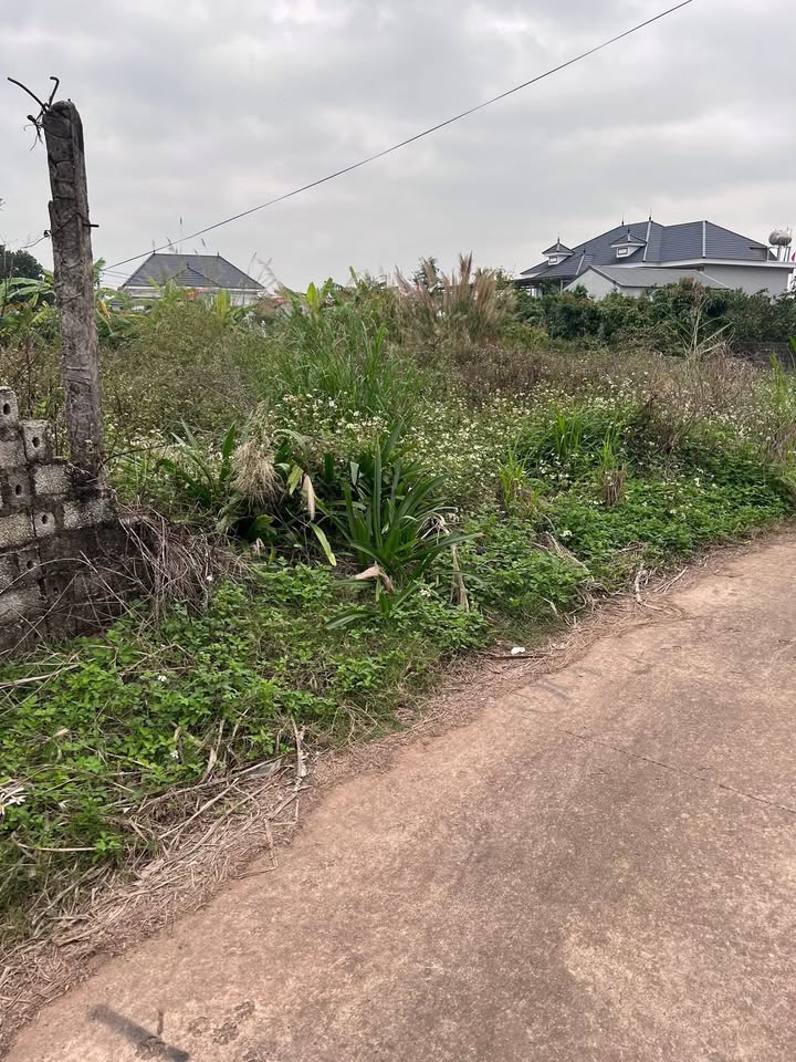 Bán Đất Nền Lục Nam, Bắc Giang 164m² - Sổ Đỏ Rõ Ràng