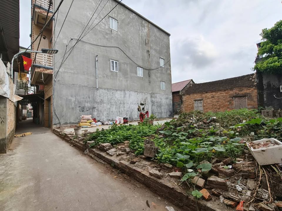 Đất Từ Sơn 73.4m² - Giá Rẻ Nhất 1.4 Tỷ - Sổ Hồng Sẵn Sàng