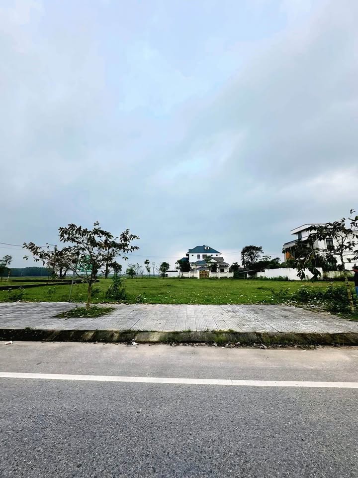 Mặt Tiền Đặng Dung Đông Hà 175m² - Kinh Doanh Sầm Uất, Giá Đầu Tư