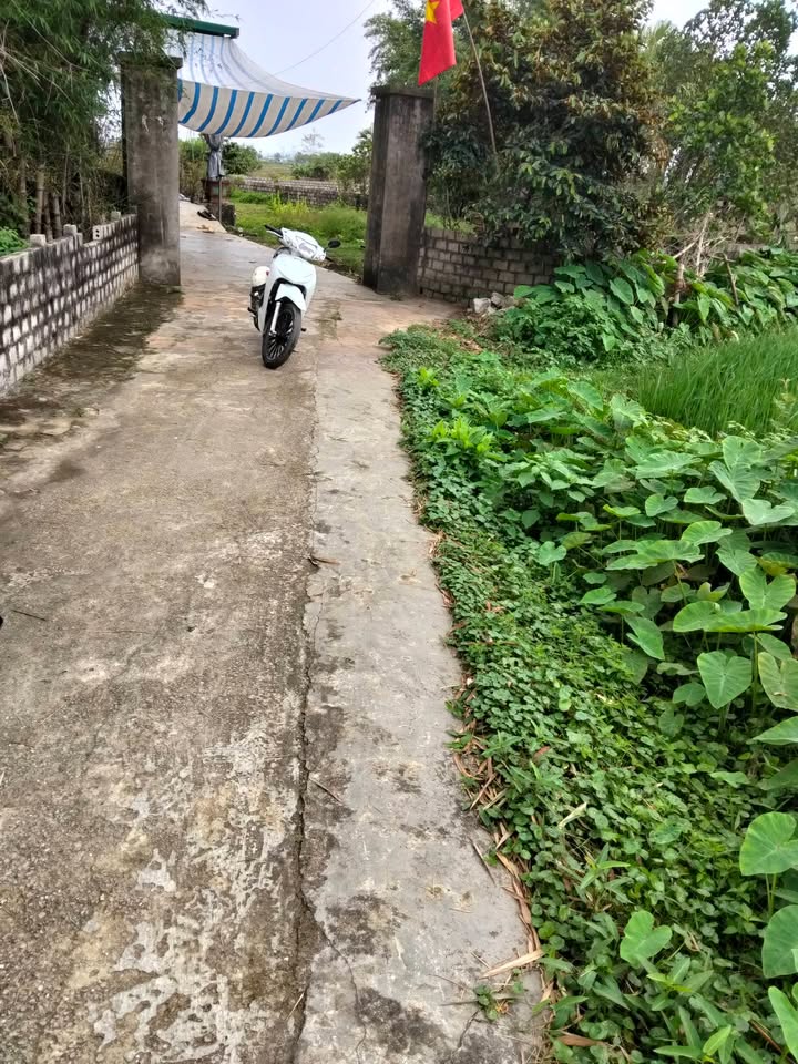 Đất Nền Thọ Xuân 385m² - Sổ Đỏ Thổ Cư, Giá Đầu Tư Chỉ 750 Triệu