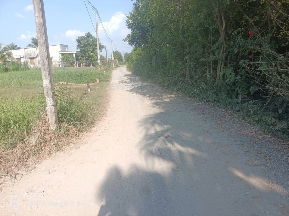 Bán Đất 174m² Mặt Tiền Đường 3m, Sổ Hồng Riêng, Gần Chợ Xã Hậu Nghĩa