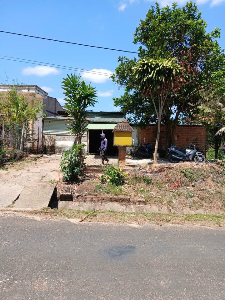 Bán Đất Vườn 754.6m² Mặt Tiền Tỉnh Lộ 677, Đắk Long, Kon Tum