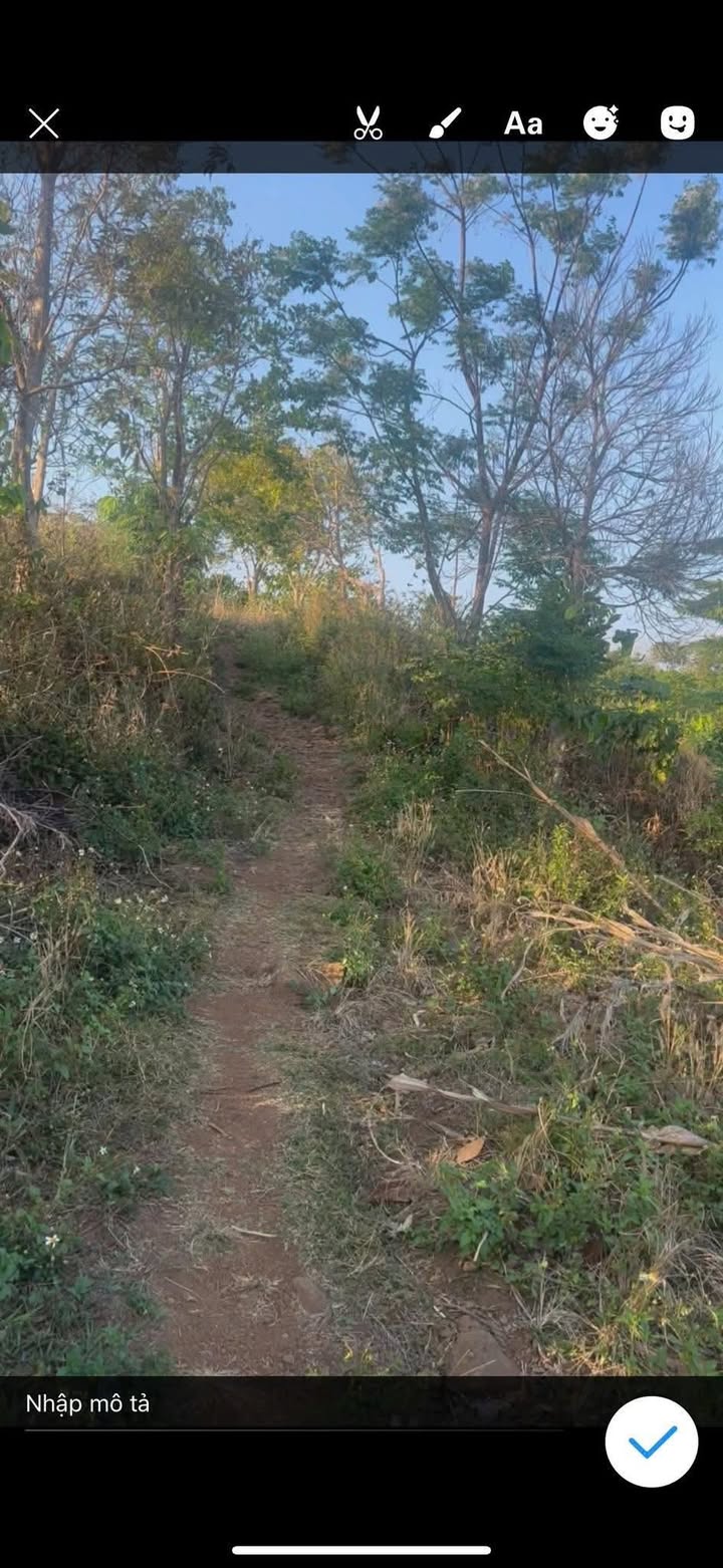 Bán Đất Rẫy 14000m² Ea Khal, Đắk Lắk - Giá 450 Triệu, Sổ Giấy Tay