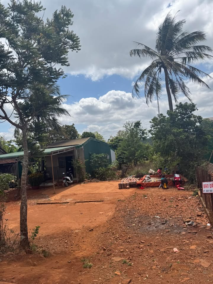 Đất 3 mặt tiền 294m² Ea Drăng, Đắk Lắk - Giá 549 triệu, bao phí