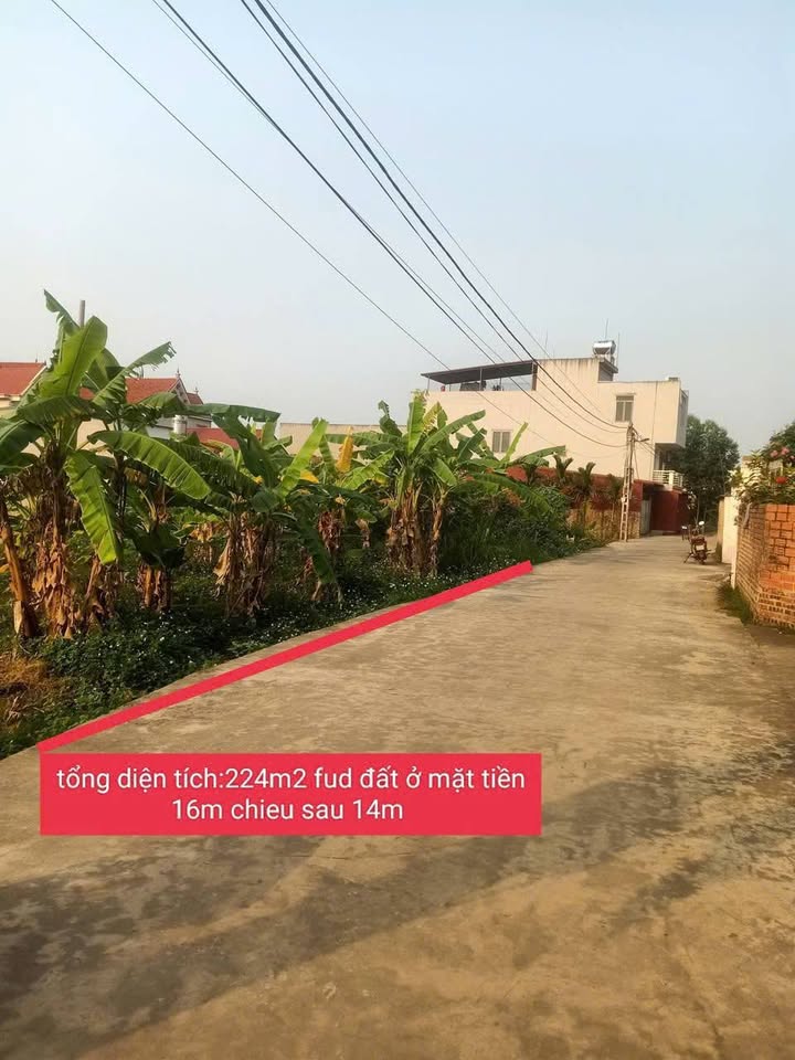 Đất Nền Tân Dĩnh, Lạng Giang - 228m² Full Thổ, Mặt Tiền 16m, Ô tô vào tận nơi