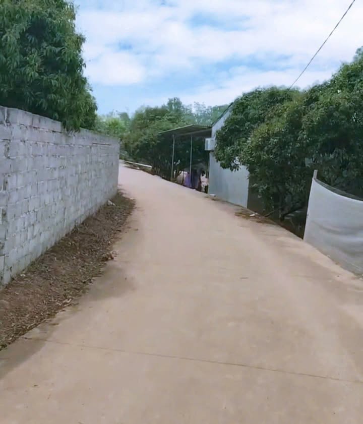 Đất nền Lục Nam, Bắc Giang 220m² - Sổ đỏ sẵn sàng giao dịch