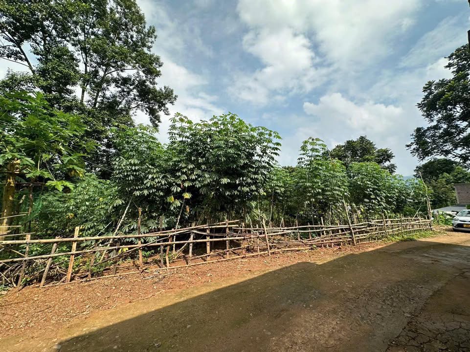 Đất nền Kim Bôi, Hoà Bình 900m² - View núi thoáng đãng, sổ đỏ chính chủ