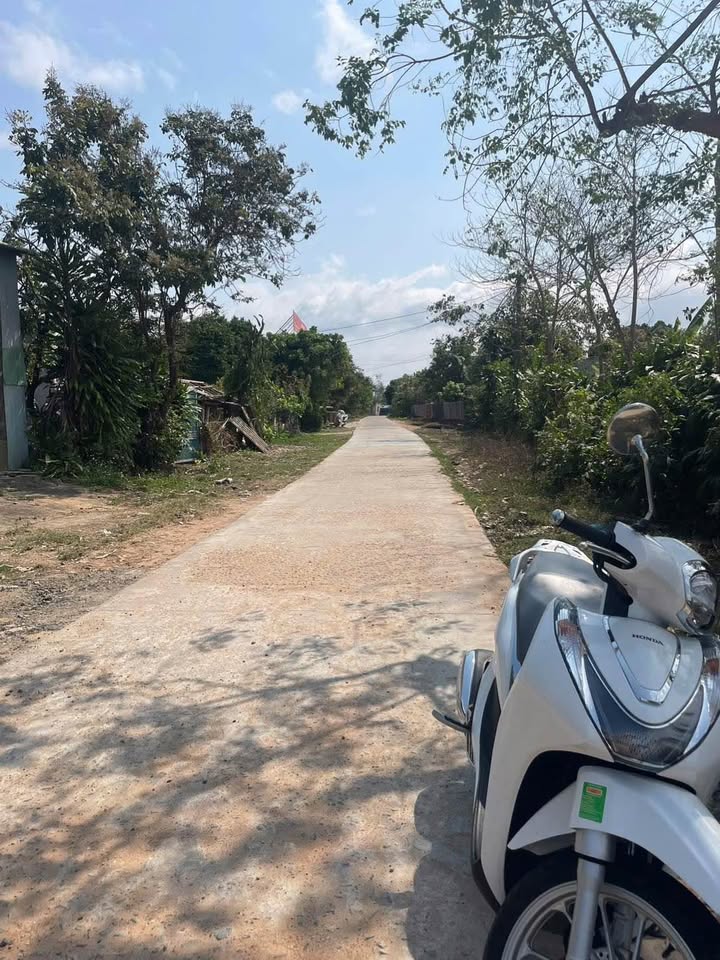 Đất Nền Xã Vinh Quang, Kon Tum - 217m² Thổ Cư, Hướng Nam, Giá Tốt