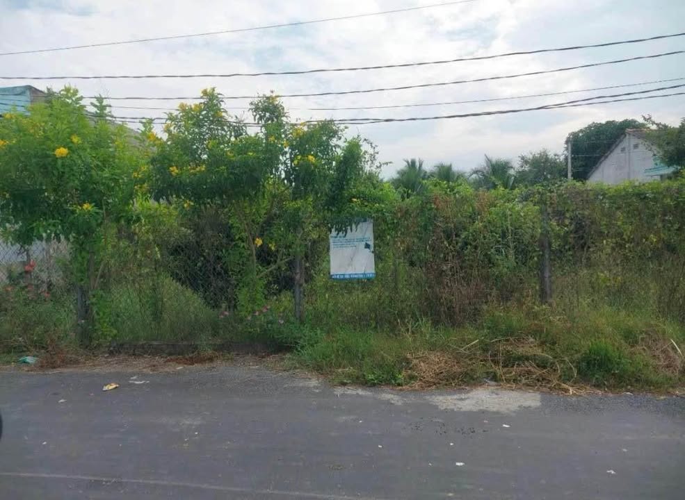 Đất thổ cư 1200m² mặt tiền Huỳnh Thị Đức, Tân An, Long An - Giá 5 tỷ