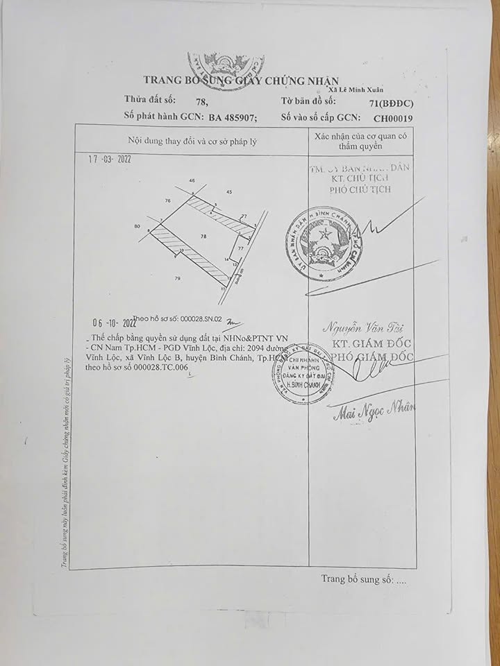 Đất Vườn Bình Chánh 4712m² - Sổ Đỏ Riêng, Giá Đầu Tư 9.4 Tỷ