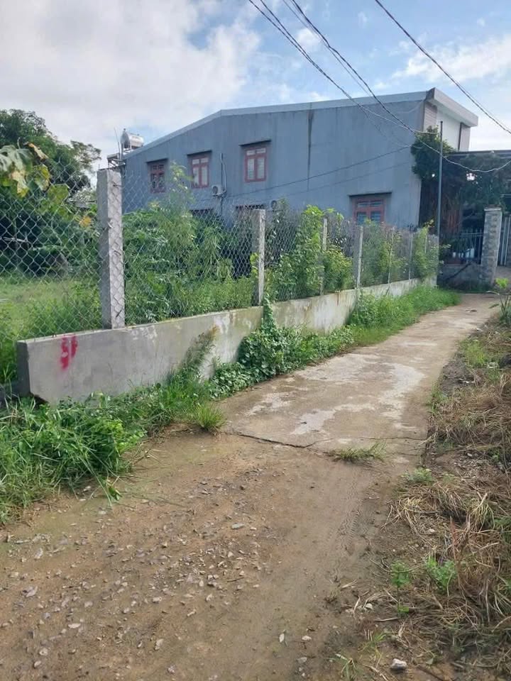 Đất nền Tuy Phước 87m² Sổ hồng sẵn - Giá 350 triệu