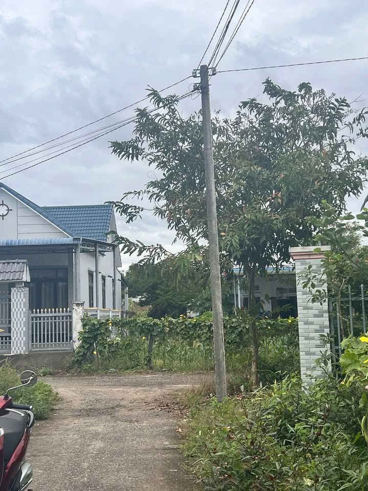 Bán Đất Full Thổ Cư Hẻm Lý Thái Tổ, La Gi 94m² - Sổ Hồng Sẵn Sàng