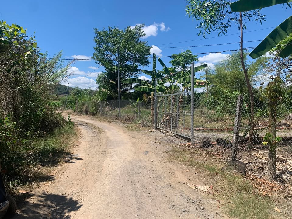 Đất Vàng Định Quán 1100m² - Sổ Đỏ, Mặt Tiền 20m, Giá 3.6 Tỷ