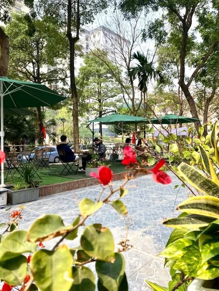 Sang nhượng Quán Cafe Sân Vườn Lô Góc Mỹ Đình - 340m² Kinh doanh Hấp dẫn
