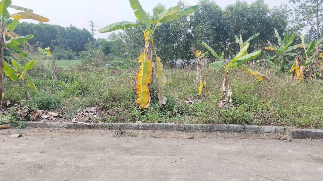 Đất nền 190m² - Mặt tiền 10m Đường 420, Tây Hồ - Đầu tư/Ở đều sinh lời