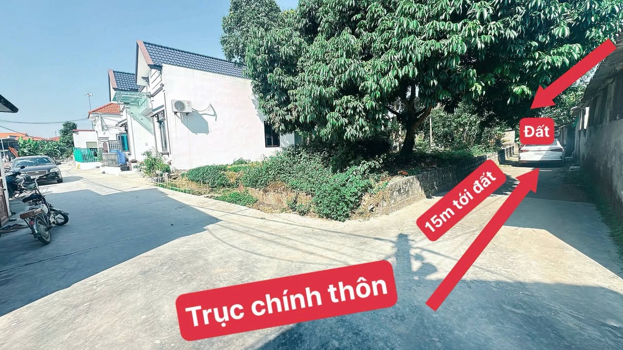 Đất nền Tống Phan, Phù Cừ, Hưng Yên - 68m² - Giá 700 triệu - Sẵn sàng xây nhà